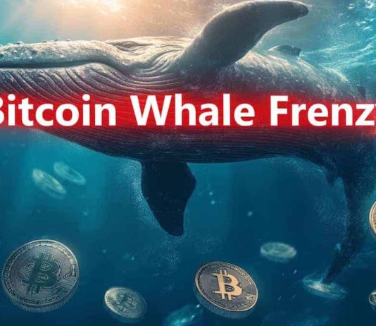 Bitcoin Season is Right here as Whale Frenzy Pushes the Variety of Wallets with Over 100 $BTC to 18,996 Bitcoin Season is Right here as Whale Frenzy Pushes the Variety of Wallets with Over 100 $BTC to 18,996