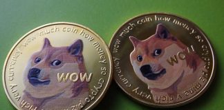 4-12 months Cycle Says Dogecoin Value Will Attain $1, Right here’s Why