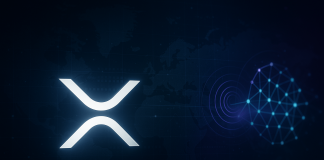 Ripple CTO Feedback On Rising XRP Ledger Competitors From Fintechs