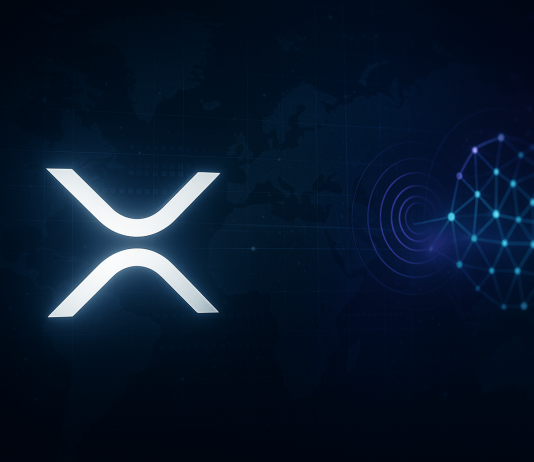 Ripple CTO Feedback On Rising XRP Ledger Competitors From Fintechs Ripple CTO Feedback On Rising XRP Ledger Competitors From Fintechs