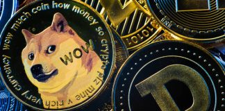 Dogecoin Shorts In Bother? This Retest May Ignite Multi-Stage Rally