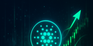 Cardano Hits 5-Month Excessive as Bulls Regain Management: Might $three Be Nearer Than Anticipated?