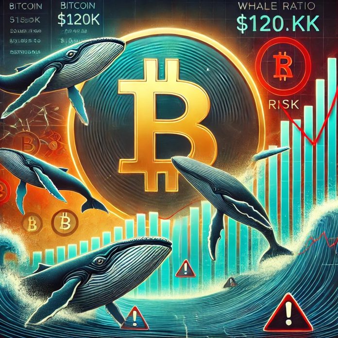 Bitcoin Pulls Again Under $120Ok After New ATH as Whale Ratio Hits Threat Ranges