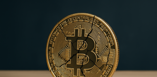 The Bitcoin Cycle You Knew Is Lifeless, Says Capriole Founder