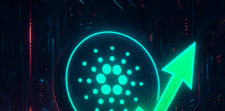 Cardano Defies Market Pullback: May On-Chain Momentum Sign a 70% Run Forward?