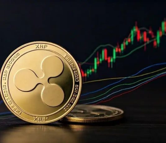 Market Skilled Reveals Why XRP Worth At $1,000 Is Not A Risk