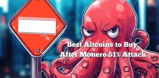 Kraken Halts Monero Deposits After Reported 51% Assault – High Altcoins to Purchase for Stability