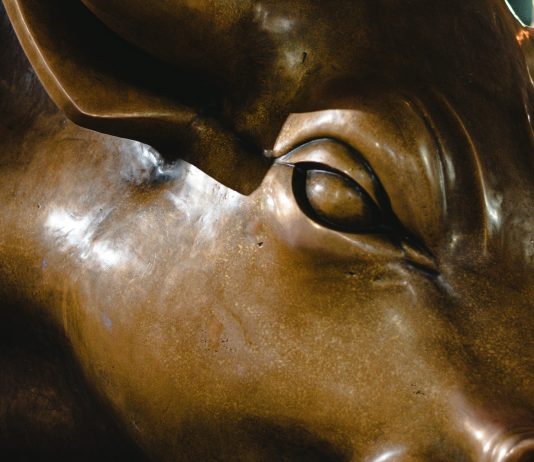 XRP’s Hardest Bull Run Might Lead To Huge Good points, Analyst Claims