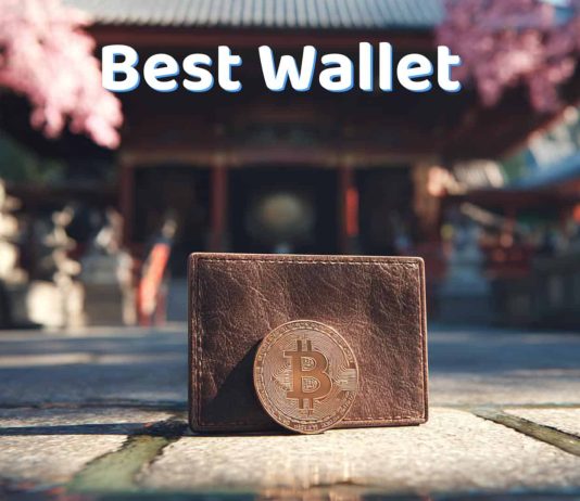 Japan and Thailand Lead the Asian Crypto Adoption Development, Fueling Initiatives Like Finest Pockets