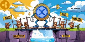 XRP Worth Prediction: XRP Weak spot Under $Three Raises Questions About Lengthy-Time period Outlook
