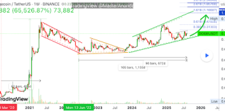Dogecoin Eyes 1,000% Enhance To Attain $2.55 ATH This Cycle