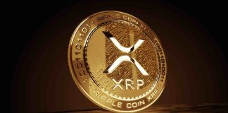 Key Ranges To Watch In Mild Of XRP’s Macro Future