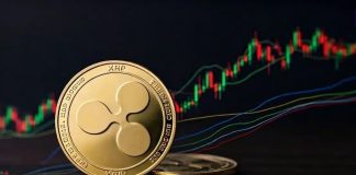 What’s Subsequent For XRP After Crashing Under $3? Analyst Solutions