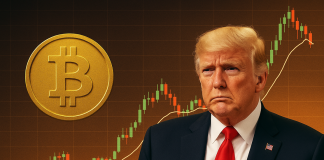 Bitcoin Bull Run Hinges On Trump’s Decide For Fed Chair: Analyst