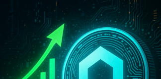 Chainlink Surges to 7-Month Excessive on Pockets Progress: Is $30 Be Simply the Starting?