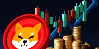 Shiba Inu Takes Main Step With Neighborhood Governance Mannequin — Particulars