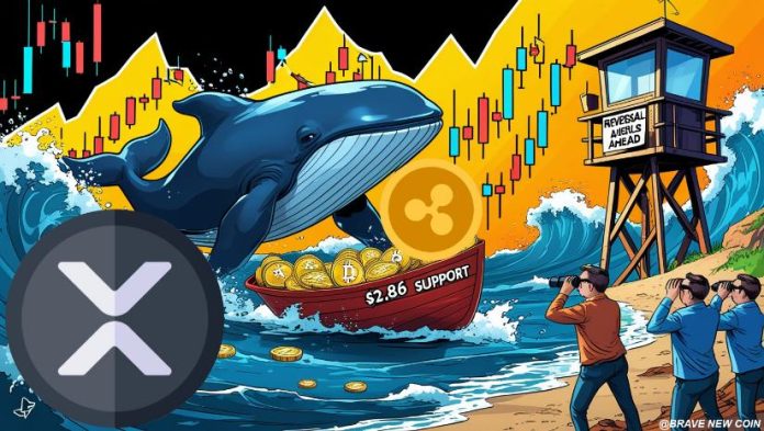 XRP Worth Prediction: XRP Correction Deepens with 5% Drop—Technical Setup Hints Potential Reversal Ranges