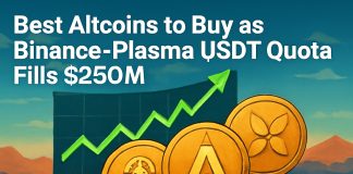 Plasma’s Binance USDT Quota Hits $250M in an Hour – Which Are the Greatest Altcoins to Purchase Now?