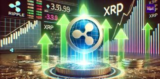 Analyst Places XRP Cycle Prime Above $20, However Says Value Should Maintain Final Line Of Protection