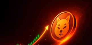 How Excessive Can Shiba Inu Climb In 2025? Analyst Offers Candid Outlook