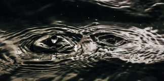 Ripple’s XRP Breaks Into High 100 International Property With $180 Billion Market Cap