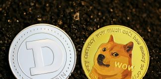 Dogecoin Worth Technicals Verify Help, Mid-Time period Goal Now $1.85