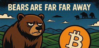 Trump Adviser David Bailey Says Bear Market is Years Away; Good Information for the Finest Presales