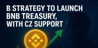 B Technique to Launch BNB Treasury with CZ Assist. SUBBD Platform Getting a Increase?