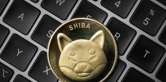 Shiba Inu’s Shibarium Suffers Crash In Main Metric, Is SHIB Value At Threat?