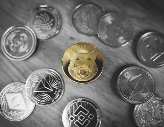 Shiba Inu Sees 300% Surge In This Main Metric, Is The Backside In?