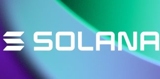 Solana Worth Holds Stronger Than Bitcoin Units Stage For Breakout To $240