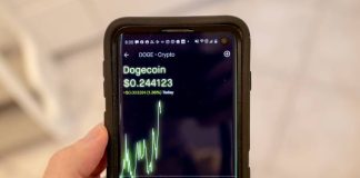 Dogecoin Worth Dangers Crash Beneath $0.1, However Can Bulls Facilitate This 800% Rally To $1.82 First?