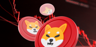 Shiba Inu Worth Varieties Double Backside At Demand Zone — What To Count on