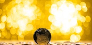 Shiba Inu Energetic Addresses Crash Over 50% In Three Months, What About SHIB Worth?