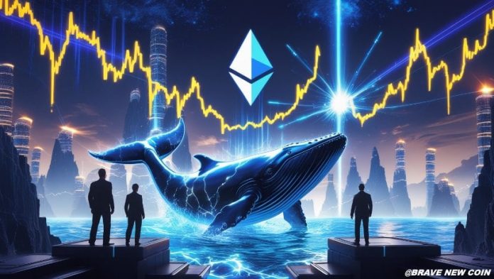 Ethereum (ETH) Value Prediction: Ethereum Whale Exercise and Liquidity Surge Sign 2017-Fashion Breakout to $15Okay