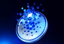 Cardano Founder Says Chainlink Quoted Them An ‘Absurd Value’, Right here’s Why