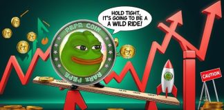Pepe (PEPE) Value Prediction: PEPE Finds Assist at $0.0000096 — Might This Spark a New Rally for Holders?