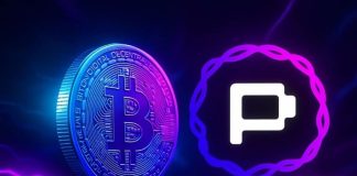 Portal to Bitcoin Information $800M Buying and selling Quantity in First 24 Hours, Pioneers BTC–SOL Cross-Chain Swaps