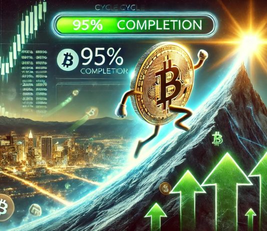 Bitcoin Bull Run Nears Its Climax: Cycle Peak Signifies 95% Completion