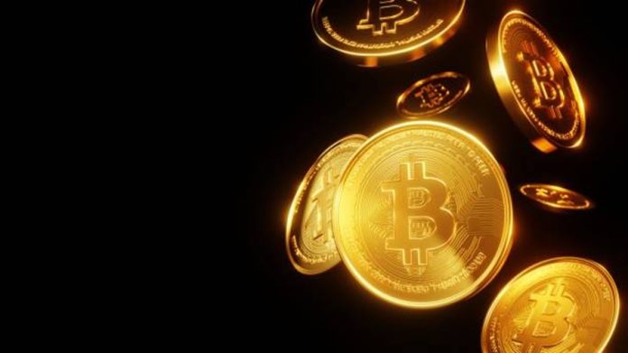 Bitcoin Treasury Purchases Down Amid Report Holdings – What Does This Imply?