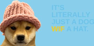 Dogwifhat Worth Immediately: Holding $0.85 as Bulls Eye Breakout Triggers
