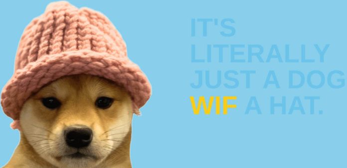 Dogwifhat Worth Immediately: Holding $0.85 as Bulls Eye Breakout Triggers