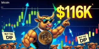 Bitcoin (BTC) Value Prediction: Bitcoin Bulls Eye $116Okay as Fed Charge Lower Bets Set off Breakout Hopes