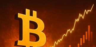 This Bitcoin Cycle Adjustments Every part, Actual Imaginative and prescient Analyst Explains Why