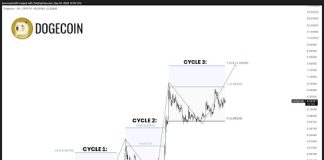 Might A Dogecoin ETF Be Launched This Week? This Skilled Thinks So
