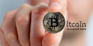 Germany’s Bitcoin Seizure Program Uncovered: Practically $5 Billion In BTC Left Dormant