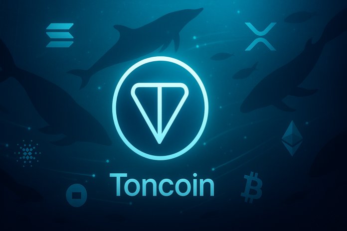 Toncoin, Quant Seeing Whale Exercise Explosion, Massive Transfer Forward?