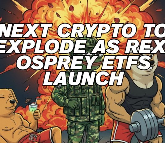 REX and Osprey ETFs Launch Tomorrow: Subsequent Crypto to Explode