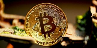 Bitcoin Breaks Above Mid-Time period Holder Breakeven – Is A Recent Rally Brewing?