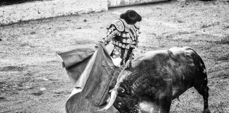 Crypto Pundit Provides Causes Why Buyers Ought to Be Further Bullish On XRP